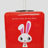 华人代购转运澳大利亚旅行箱子 小型 可爱 迷你 韩版