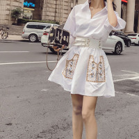华人代购转运马来西亚-东马连衣裙 收腰 五分袖 气质 翻领 新款 韩版