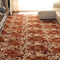 华人代购转运美国地毯 门厅地垫 可洗 定制 加厚珊瑚绒