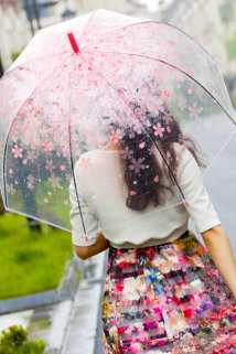 邮多多淘宝集运转运透明雨伞 长柄 樱花 唯美 清新 可爱 儿童